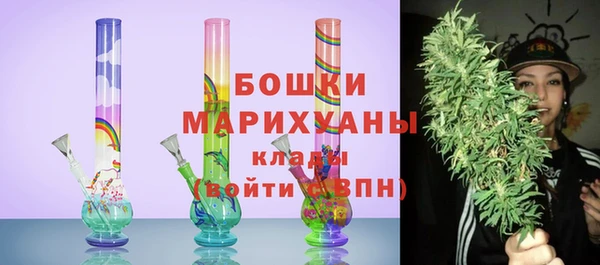 гидропоника Белокуриха