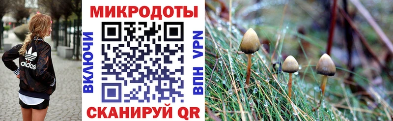 Псилоцибиновые грибы Magic Shrooms  Бежецк 